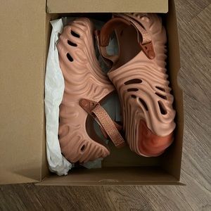 salehebembury xthepollexciog